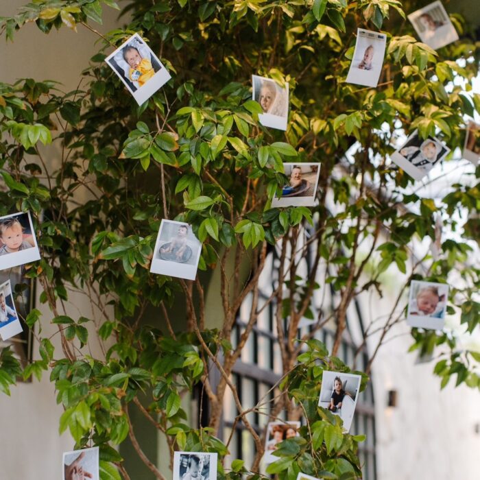 464346858_17948342903854983_4188005634165674815_n